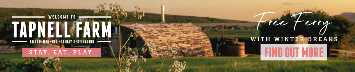 Modulogs at Tapnell Farm, Isle of Wight